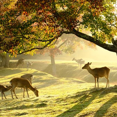 とにかく安くいきたい！9月 関西ツアーイメージ