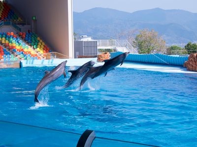 南紀白浜アドベンチャーワールド