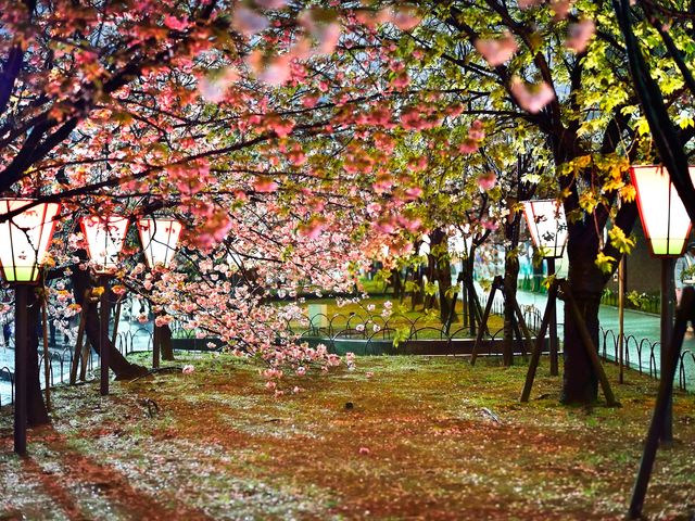 4月のイベントは･･･イメージ