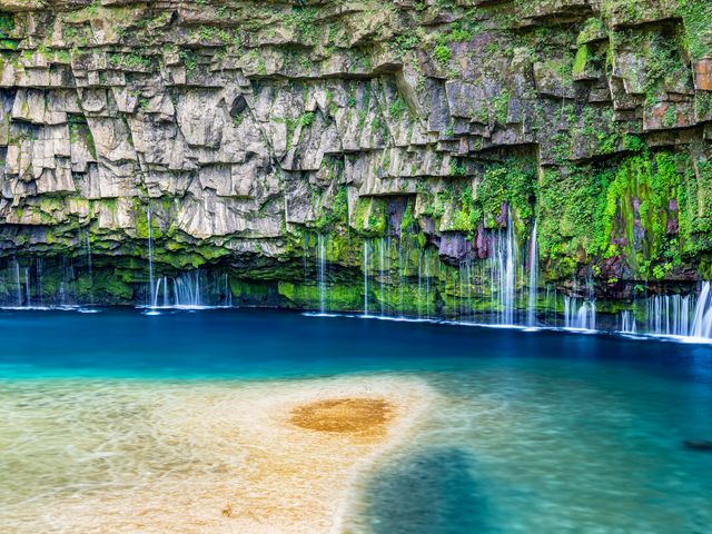 鹿児島フリープランイメージ