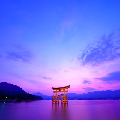 広島フリープランイメージ