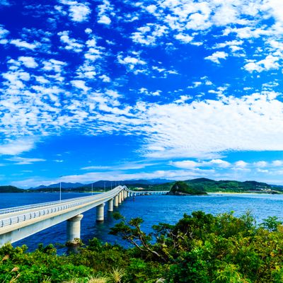 山口フリープランイメージ