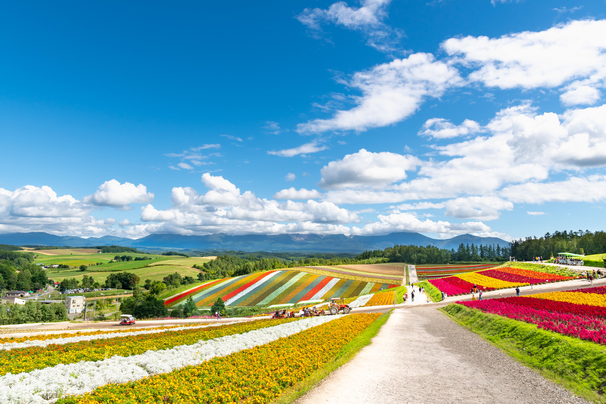 北海道周遊フリープラン 大阪発 北海道旅行 北海道ツアーなら格安旅行のj Trip