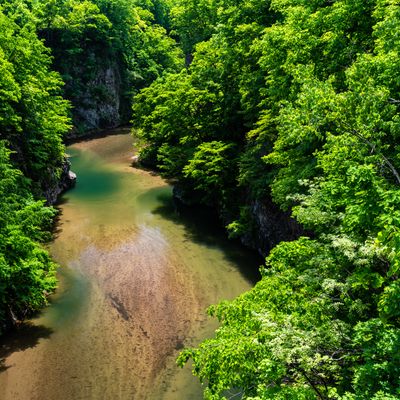 定山渓ツアーイメージ