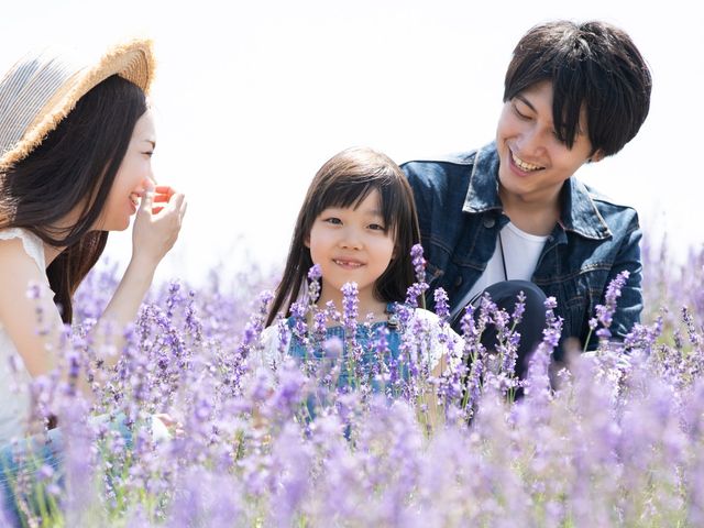 組合せ自由!北海道周遊フリープランイメージ