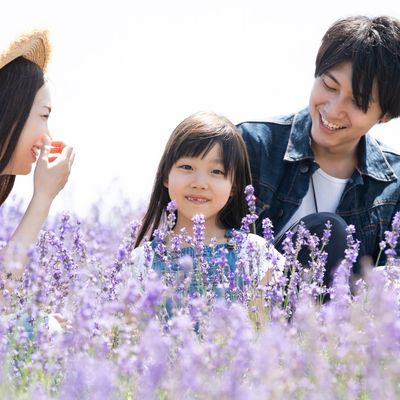 家族旅行におすすめの北海道ツアーイメージ