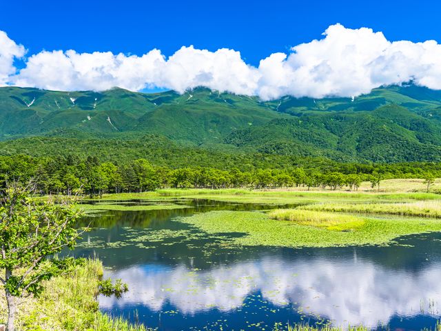 知床五湖イメージ