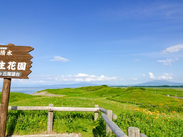 【網走】小清水原生花園イメージ