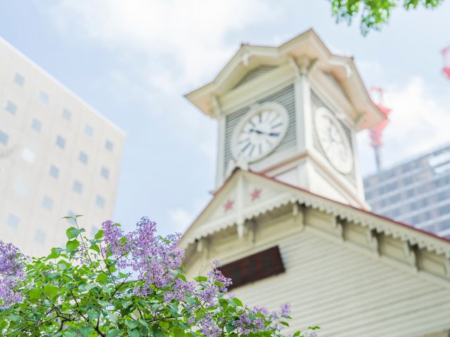 北海道周遊フリープランイメージ