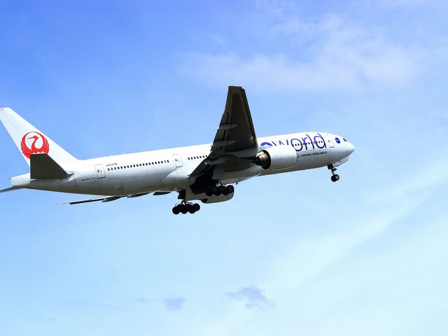 飛行機+ホテルでお得!イメージ