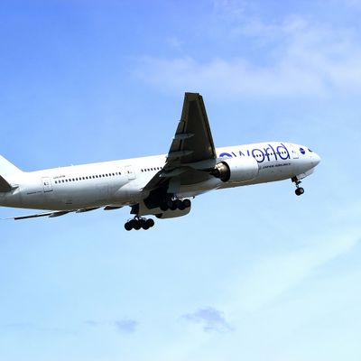 九州へ「クラスJ」で空の旅を快適にイメージ