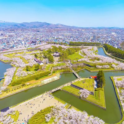 とにかく安く行きたい!4月 北海道ツアーイメージ
