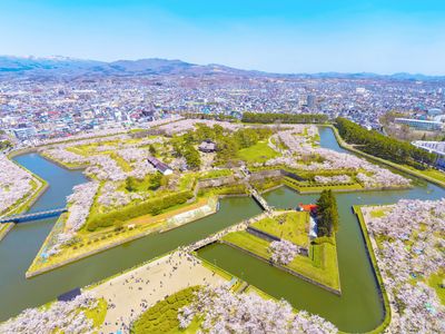 とにかく安く行きたい!4月 北海道ツアーイメージ