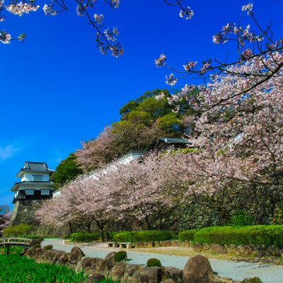 諫早・大村イメージ