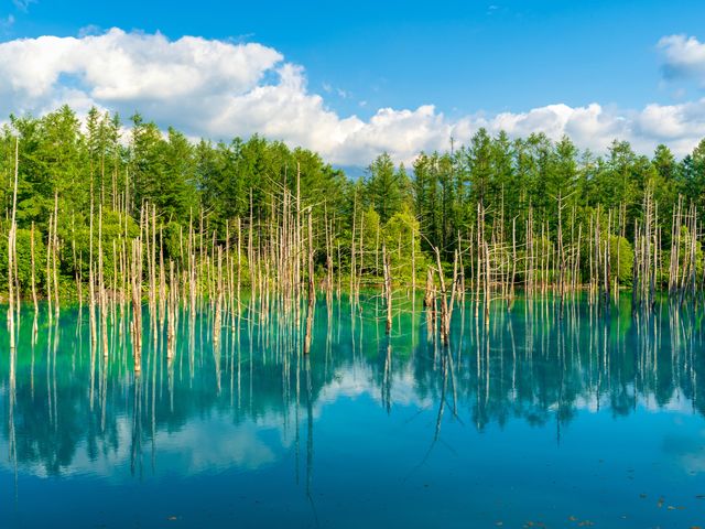 青い池イメージ