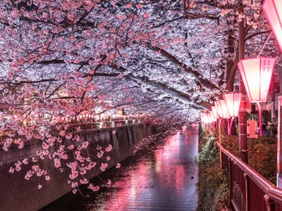 とにかく安くいきたい！4月 東京ツアーイメージ