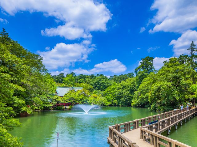 井の頭公園