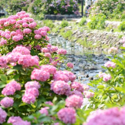 とにかく安くいきたい！6月 関西ツアーイメージ