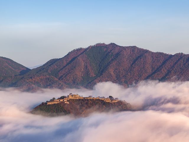 10月の見どころは･･･イメージ