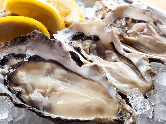 中四国グルメ旅もおすすめイメージ