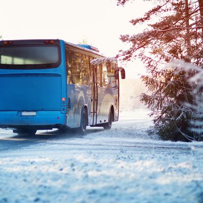 スキーバス付プランイメージ