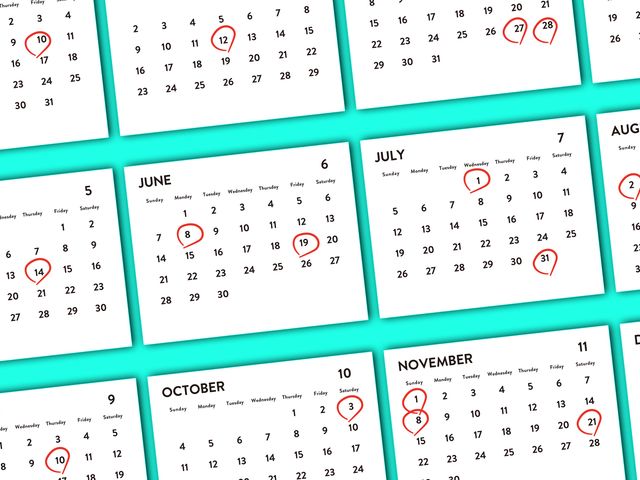 時期を選ぶイメージ