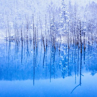 とにかく安く行きたい!1月 北海道ツアーイメージ