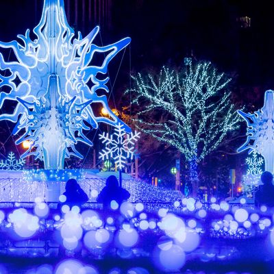 とにかく安く行きたい!12月 北海道ツアーイメージ