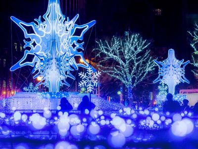 とにかく安く行きたい!12月 北海道ツアーイメージ