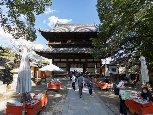 香川フリープランイメージ