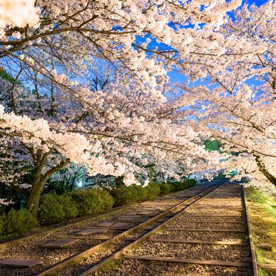 とにかく安くいきたい！4月 関西ツアーイメージ