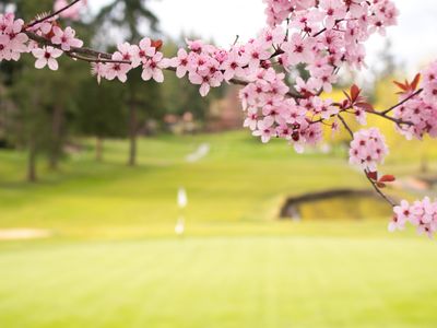 とにかく安くいきたい!4月 ゴルフ旅行イメージ