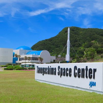 とにかく安くいきたい!11月 屋久島ツアー・奄美大島ツアーイメージ