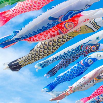 GWにおすすめの四国ツアー・中国ツアー2024イメージ