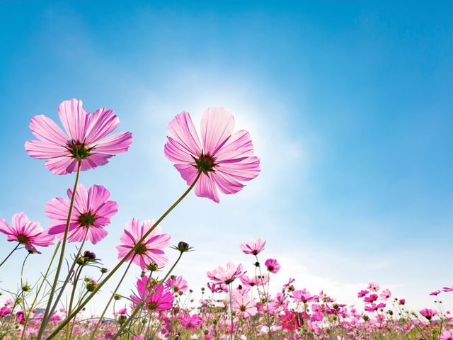 ご予約はお早めに…イメージ