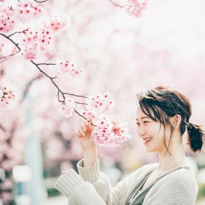 とにかく安くいきたい!4月 国内旅行・国内ツアーイメージ
