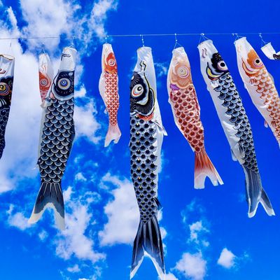 とにかく安くいきたい!5月 国内旅行・国内ツアーイメージ