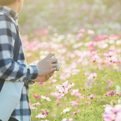 とにかく安くいきたい!10月 国内旅行・国内ツアーイメージ