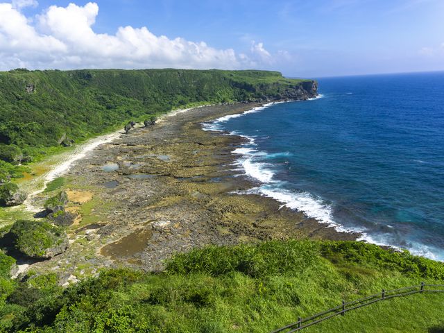 自然を満喫♪徳之島ツアーイメージ