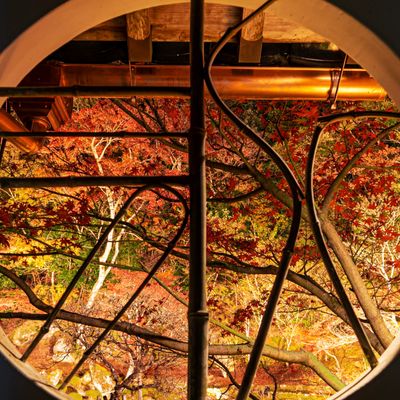 とにかく安くいきたい!11月 九州ツアーイメージ