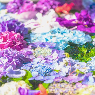 とにかく安くいきたい!6月 九州ツアーイメージ