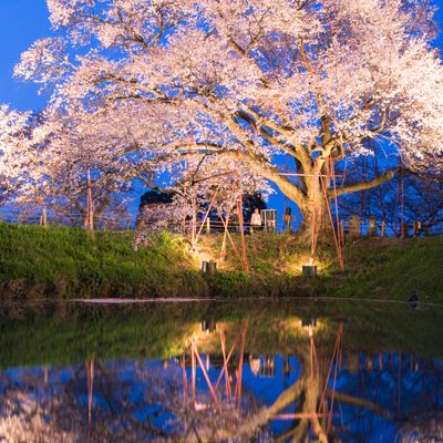 とにかく安くいきたい!4月 九州ツアーイメージ