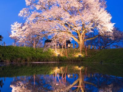 とにかく安くいきたい！4月 九州ツアーイメージ