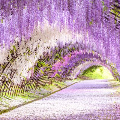 とにかく安くいきたい!5月 九州ツアーイメージ