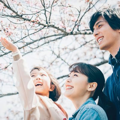 春休みにおすすめの国内旅行・国内ツアーイメージ