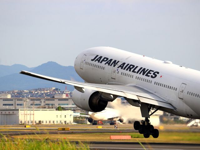 JAL便から選べますイメージ