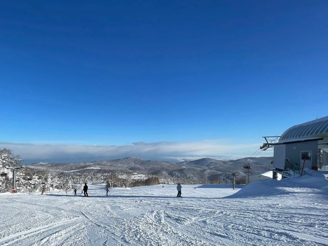 札幌国際スキー場イメージ