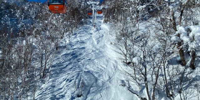 おすすめツアー