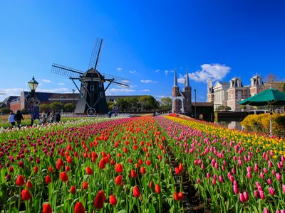 ハウステンボスツアー