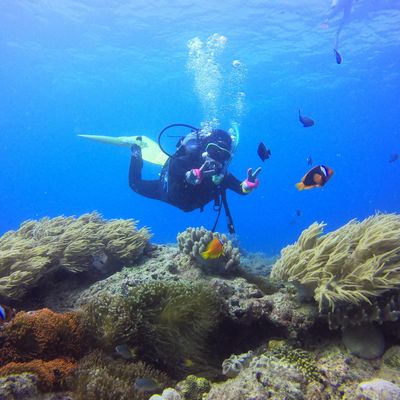 沖縄ダイビングおすすめポイントイメージ